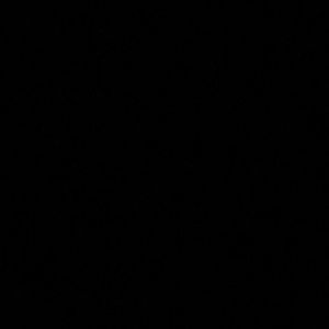 Meet your Posher, Devyn